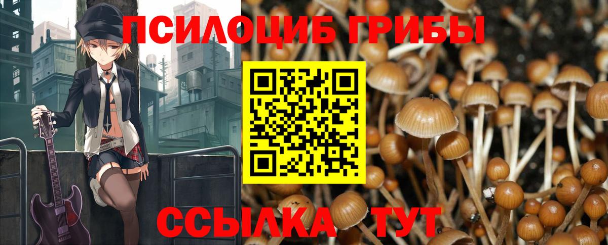 Галлюциногенные грибы Cubensis  Галлюциногенные грибы Psilocybe  Новотроицк  Вход с VPN 